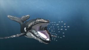 Baleias já detém 45.6% de todos BTC em circulação!