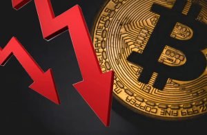 52cf720e 11a6 4488 8374 5496046fe12e.jpeg