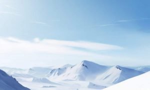 Pp 3 Cover 15 1000x600.jpg