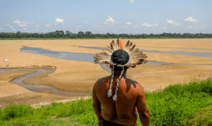 Amazonas Indigena Seca.webp.png