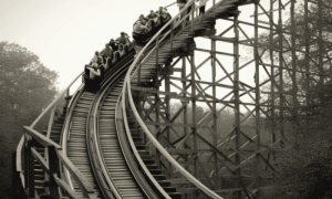 Image 1200x900 23 1000x600.png