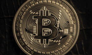 Image 1200x900 30 1000x600.png