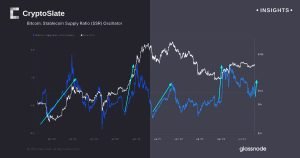 Insights Bitcoin Stablecoin .jpg
