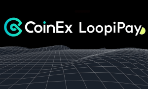 Coinex E Loopipay Lançam Campanha De Black Friday Taxa Zero E Sorteios