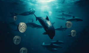 Ambcrypto An Underwater Scene Wi 1000x600.png