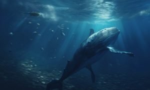 Ambcrypto Prompt A Tranquil Underwater Scene With A Majestic Wh 74f30b73 B3a5 46c2 B80f 529bf081aa83 1 1000x600.jpg