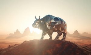 Matic 2 1000x600.jpg