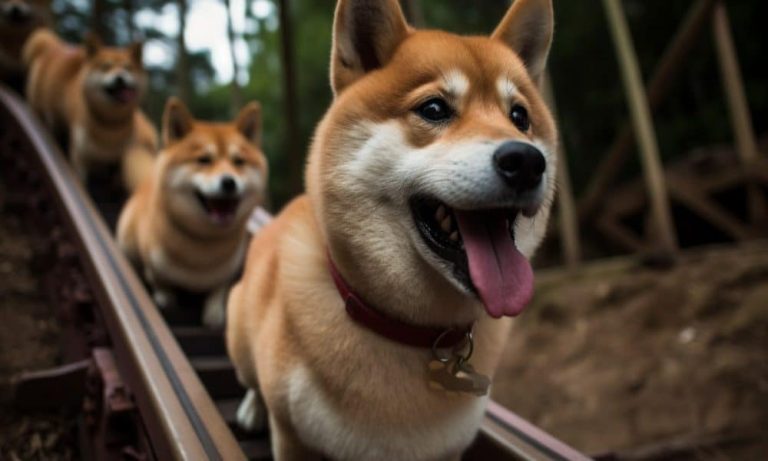 Ambcrypto Prompt A Roller Coaster Plummeting Down A Steep Slo 49ad417d E9f9 4ca4 8837 6d30e04dfacd 1000x600.jpg