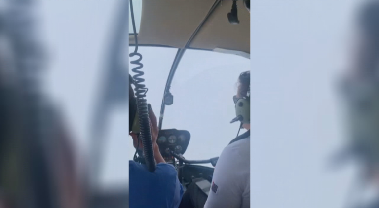 1704241384 Neblina.png