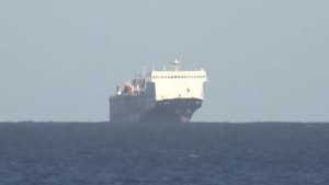 2024 01 31t054944z 1 Lop653231012024rp1 Rtrmadp Baseimage 960x540 Israel Palestinians Livestock Australia E1706683593220.jpg