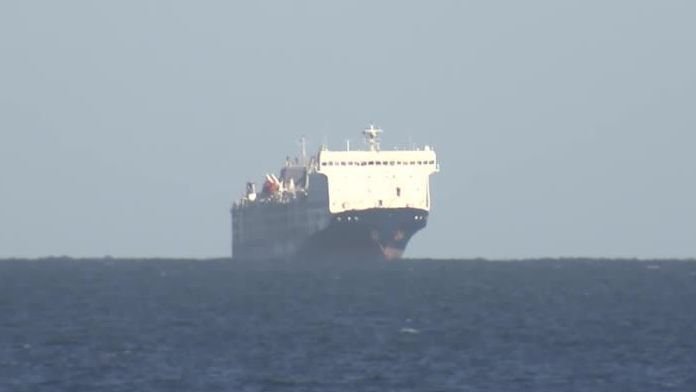 2024 01 31t054944z 1 Lop653231012024rp1 Rtrmadp Baseimage 960x540 Israel Palestinians Livestock Australia E1706683593220.jpg