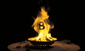 Bnb Burn News 1 1000x600.png