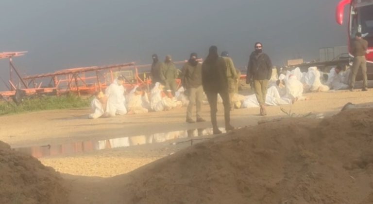 Palestinos Ajoelhados E Vendados.jpeg