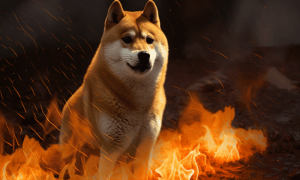Shib Burn Mech 1 1000x600.png