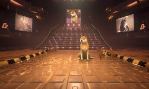 Shiba Inu New 1000x600.jpg