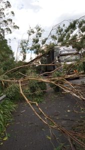 Whatsapp Image 2024 01 29 At 20.55.35.jpeg