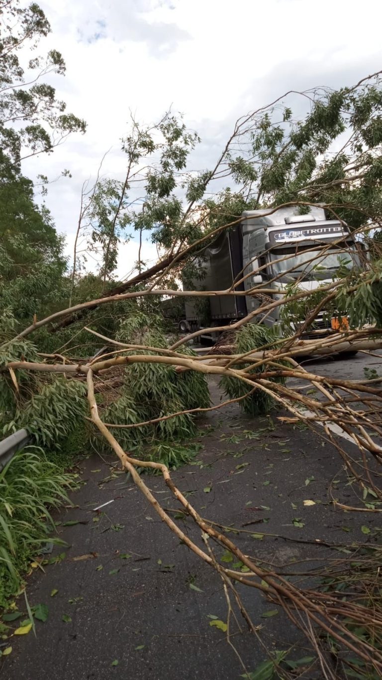 Whatsapp Image 2024 01 29 At 20.55.35.jpeg