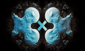 Xrp Holders News 1 1000x600.png