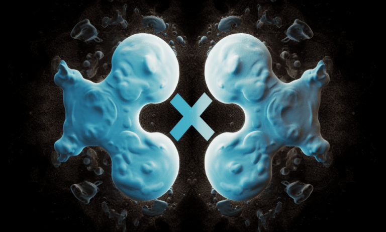 Xrp Holders News 1 1000x600.png