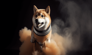 Ambcrypto An Image Of A Shiba Inu Puppy As A Resilient Rocketsh B0a28e11 44a3 46e3 8a46 96403cad940d 1 1000x600.png