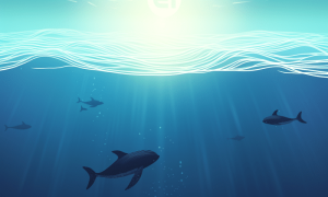 Ambcrypto An Image Of A Serene Ocean With A Watchful Ethereum E 19de5c8a 7099 44de A486 11df1040a70d 1 1000x600.png