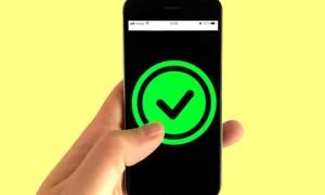 Franck Snvbtrqr7ee Unsplash 1000x600.jpg