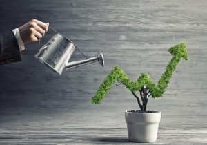 Shutterstock 1037439613.jpg