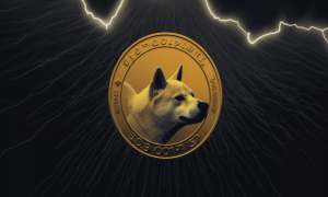 Dogecoins Market Cap Drops 1000x600.png
