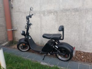 Whatsapp Image 2024 01 31 At 17.03.07.jpg