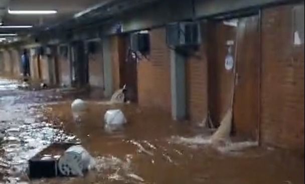 Whatsapp Image 2024 02 10 At 12.46.34.jpeg