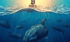 Ambcrypto An Image Of A Bitcoin Symbol Descending Below A 43k M 634925e1 6f0b 44e0 B644 A96b107f750b 1 1000x600.png