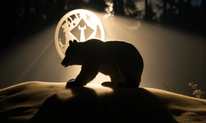 Ambcrypto An Image Of A Bear Symbol Cast As A Shadow Over An Al 57c3c6cc 547a 481b 8744 B63caccecc4a 1 1000x600.png