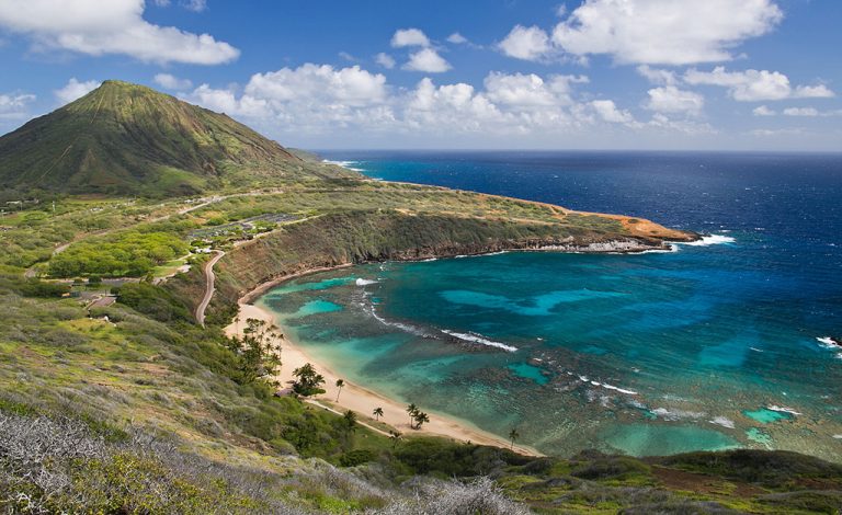 20287 90f84f5ad9231fa7.jpg