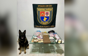 Design Sem Nome 1 E1710097982576.png