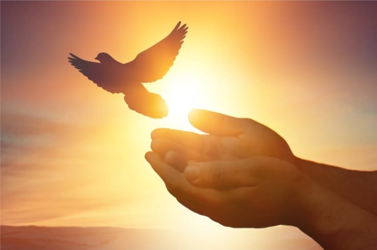 Shutterstock 1310151679.jpg