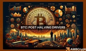 Bitcoin Price Drivers 1000x600.jpeg