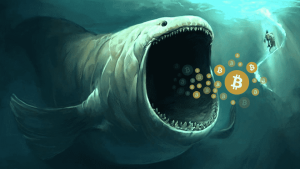 Bitcoin Whales.webp.png