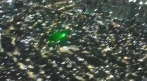 Captura De Tela 2024 04 09 194911.jpg