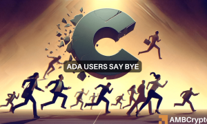 Cardano 1000x600.png