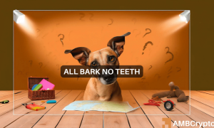 Dogecoin 2 1000x600.png