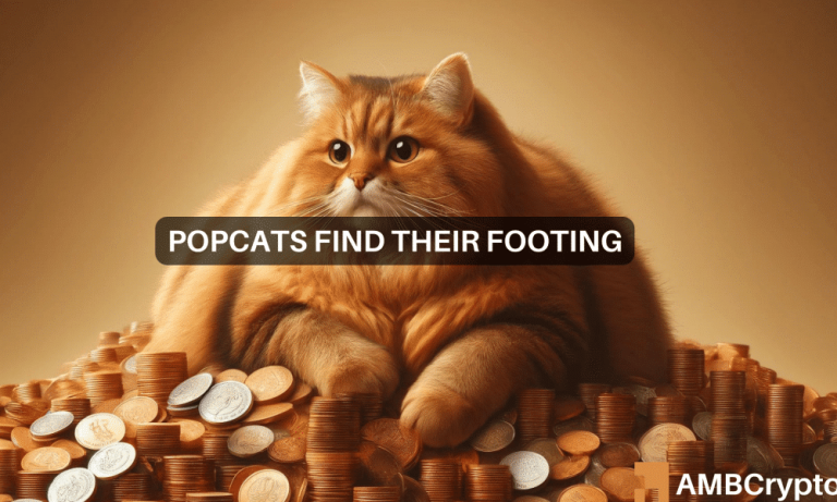 Popcat 1 1000x600.png