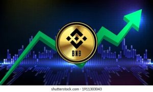 Whatsapp Image 2024 04 20 At 12.42.16 Pm.jpeg