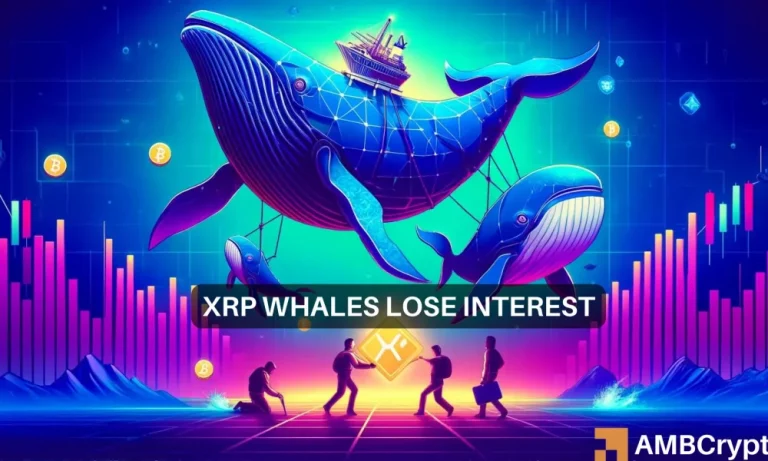 Xrp Whales Move 1000x600.webp.webp