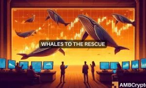 Bitcoin News With Whales Involved 1000x600.webp.webp