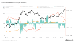 Glassnode Studio Bitcoin Fish Address Count 10 100 Btc 1.png