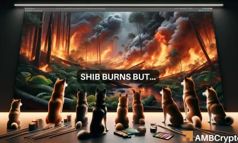 Shiba Inu Burns 1000x600.webp.webp