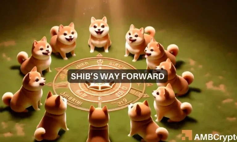 Shiba Inu Way Forward 1000x600.webp.webp