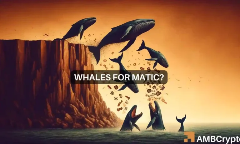 Whales See Matic Opportunities 1000x600.webp.webp
