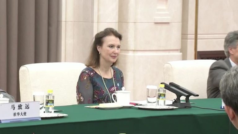 2024 04 29t135510z 1 Lop000pw343lg Rtrmadp Baseimage 960x540 China Vice President Argentine Fm.jpg