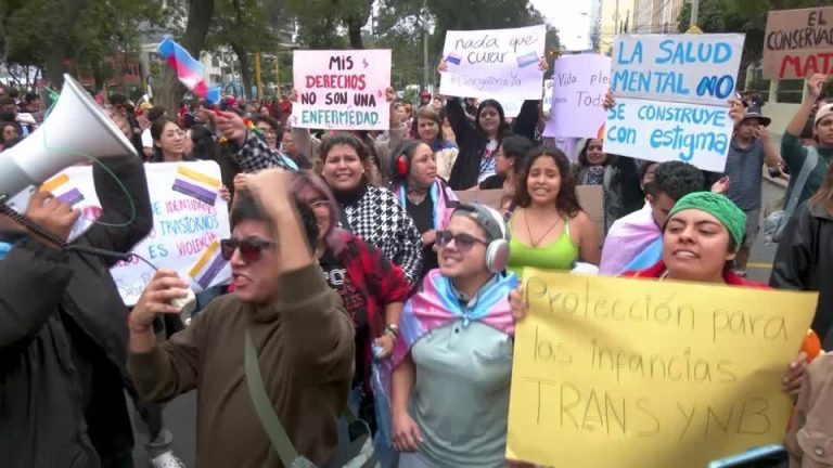 2024 05 18t012615z 4 Lop364617052024rp1 Rtrmadp Baseimage 960x540 Peru Lgbt Protest.jpg